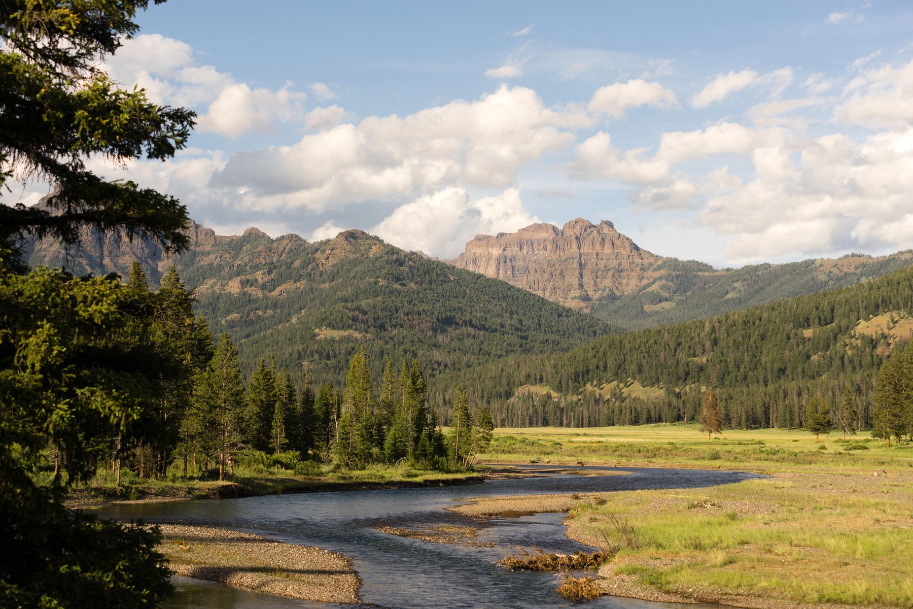 Lamer River Flows through Valley Yellowstone National Park